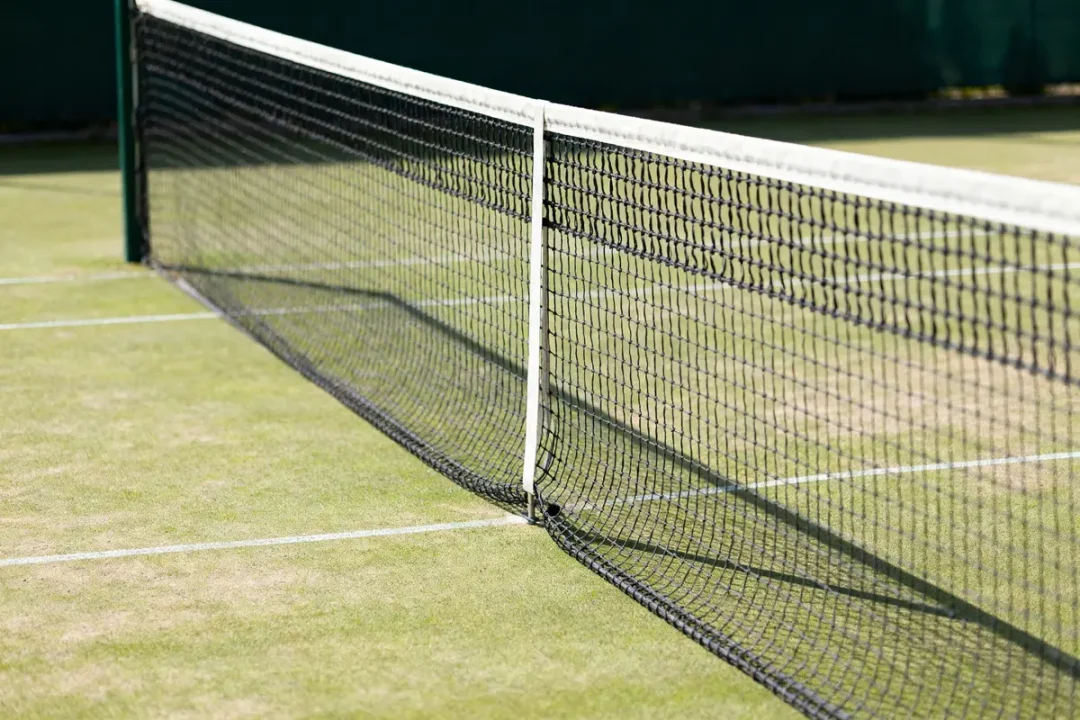 Filet de tennis en gros plan sur gazon, montrant la hauteur du filet de tennis